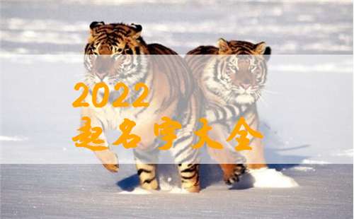 虎宝宝起名字大全