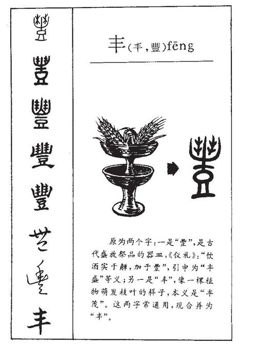 典的名字