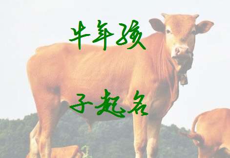 季姓男孩名字大全2021