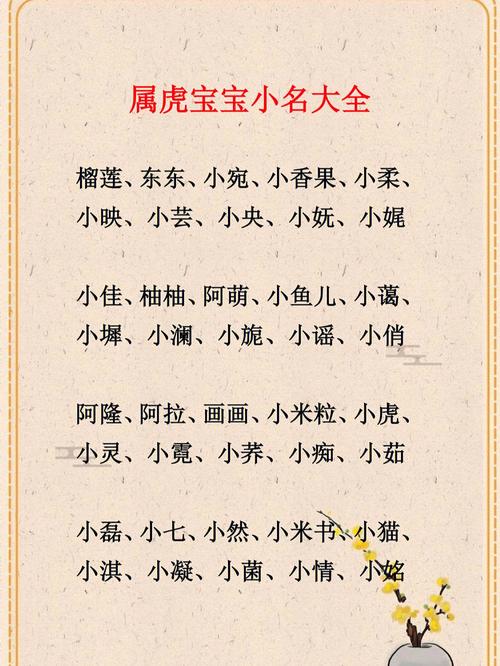 孙世虎宝宝如何起名的