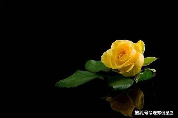月将尽，红鸾星动四大生肖迎来爱情良缘