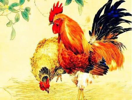 五月桃花盛开生肖猴的爱情运势解析与决策策略