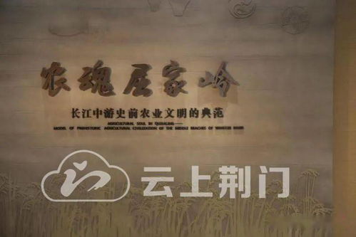理然起名文化下的健康、环保与省钱生活指南