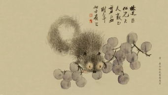 1.确定视频主题和目标