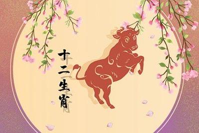 属牛女最佳婚配前十名属相