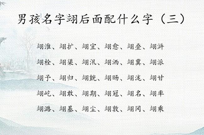 翊取男孩名什么意思