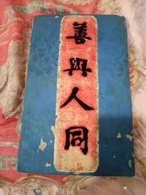 文希名字的含义