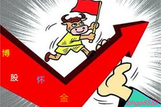 偷天换日打一精准生肖