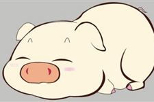 属猪的人起名取名宜忌
