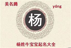 杨羽名字的含义是什么