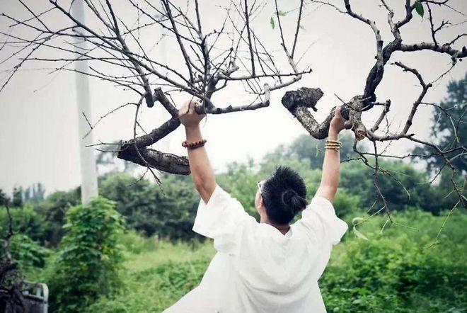 凡花的含义与象征