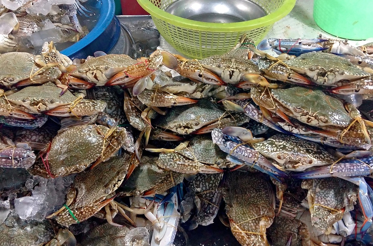 探秘美食天堂，千家万饭店名背后的故事与文化——解锁城市味蕾的密码